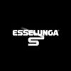 logo esselunga